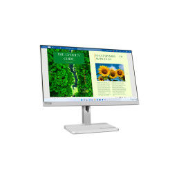 Lenovo L24m-40 Monitor PC 60,5 cm (23.8") 1920 x 1080 Pixel Full HD LED Grigio