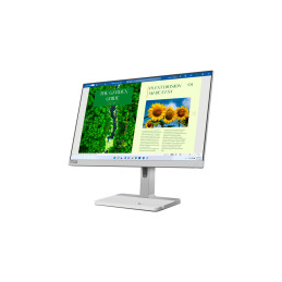Lenovo L24m-40 Monitor PC 60,5 cm (23.8") 1920 x 1080 Pixel Full HD LED Grigio