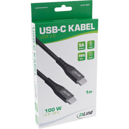 InLine Cavo USB 2.0, cavo di ricarica rapida USB-C spina spina 100W, 2m