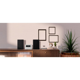 MEDION LIFE E64482 Microsistema audio per la casa 30 W Nero, Grigio