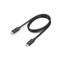 Lenovo 4X91K16968 Câble Thunderbolt 0,7 m 40 Gbit s Noir
