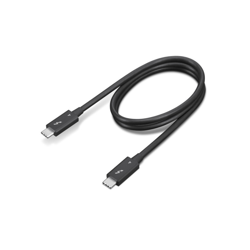 Lenovo 4X91K16968 Câble Thunderbolt 0,7 m 40 Gbit s Noir Lenovo 4X91K16968 Câble Thunderbolt 0,7 m 40 Gbit s Noir