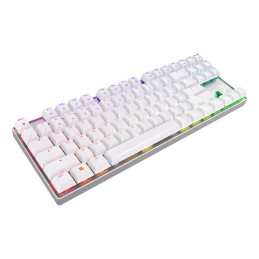 CHERRY MX 8.2 TKL Wireless RGB clavier Jouer USB + RF Wireless + Bluetooth QWERTZ Allemand Blanc