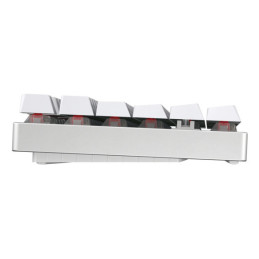 CHERRY MX 8.2 TKL Wireless RGB clavier Jouer USB + RF Wireless + Bluetooth QWERTZ Allemand Blanc
