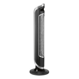 Rowenta Eole VU6670 Noir, Argent