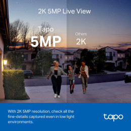 TP-Link Tapo D230S1 Nero, Bianco