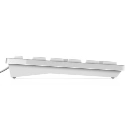 DELL KB216 tastiera Universale USB AZERTY Francese Bianco