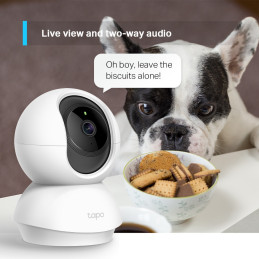 TP-Link Tapo C210 Dome IP security camera Indoor 1920 x 1080 pixels Ceiling Desk
