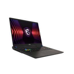 MSI Vector 16 HX A14VHG-670DE Intel® Core™ i9 i9-14900HX Laptop 40,6 cm (16") Quad HD+ 32 GB DDR5-SDRAM 1 TB SSD NVIDIA GeForce