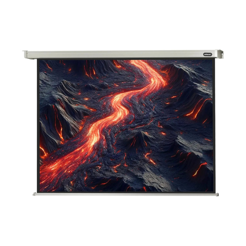 celexon Leinwand Rollo Professional 160 x 120 cm