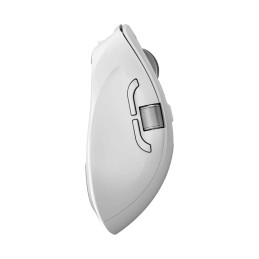ALOGIC Apex souris Bureau Droitier RF sans fil + Bluetooth 6400 DPI