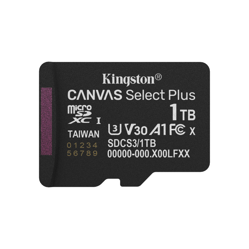 Kingston Technology 1TB micSDXC Canvas Select Plus Gen3 150R A1 (Adattatore SD non incluso)