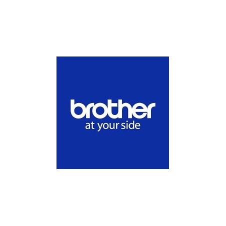 Brother ZBR8LSSPA006 licenza per software aggiornamento 1 licenza e Multilingua