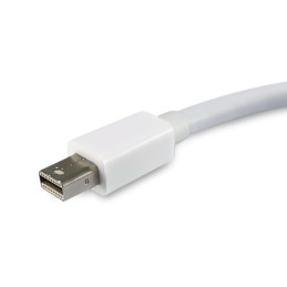 Equip 133440 video cable adapter 5.91" (0.15 m) Mini DisplayPort DisplayPort White