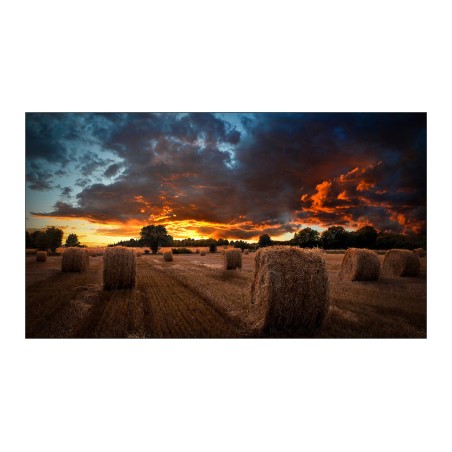 Samsung VM46B-U LCD Drinnen