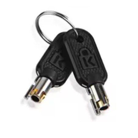 Lenovo 4Z10P40249 accesorio para candado de cable Llave Gris