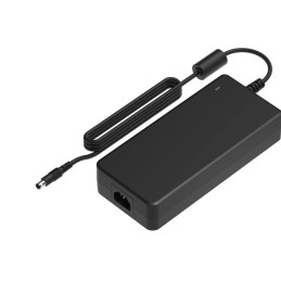 NETGEAR APS254W adaptateur de puissance & onduleur Intérieure 254 W Noir