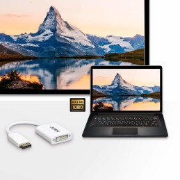 ATEN Adattatore da DisplayPort a DVI