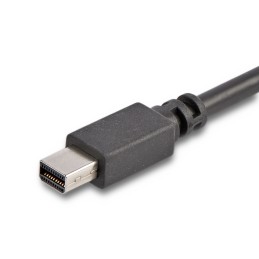 StarTech.com 1,8m USB-C auf Mini DisplayPort Kabel - 4K 60Hz - Schwarz