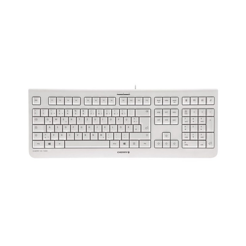 CHERRY KC 1000 teclado Hogar USB Suizo Gris