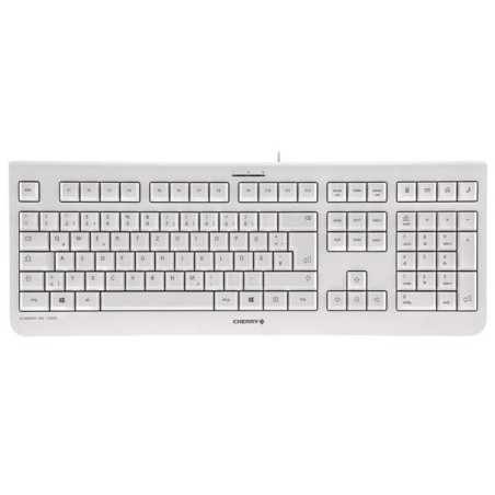 CHERRY KC 1000 teclado Hogar USB Suizo Gris