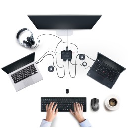 StarTech.com C2-D46-UC2-CBL-KVM Tastatur Video Maus (KVM)-Switch Schwarz