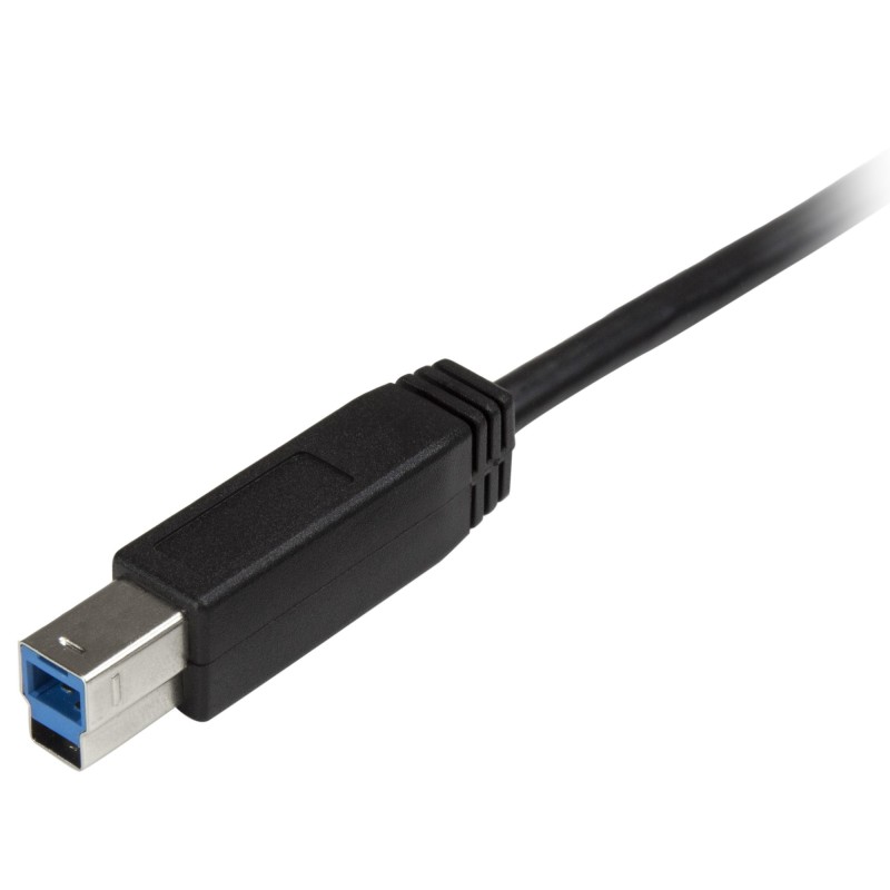 StarTech.com Câble USB-B vers USB-C de 2m, USB 5Gbps, Cordon de Données, USB 3.0, Câble de Transfert de Données USB-C