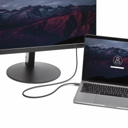 StarTech.com Câble Thunderbolt 3 (20 Gb s) USB-C de 2 m - Compatible Thunderbolt, USB et DisplayPort - M M