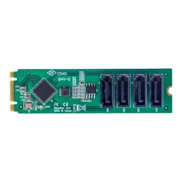StarTech.com 4-Port M.2 NVMe zu SATA Adapterkarte, M.2 PCIe 3.0 auf 4x SATA HDD SSD Adapter, ASM1064 Chipset, M2 auf SATA für