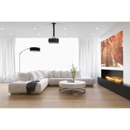 InLine 23121A project mount Ceiling Black