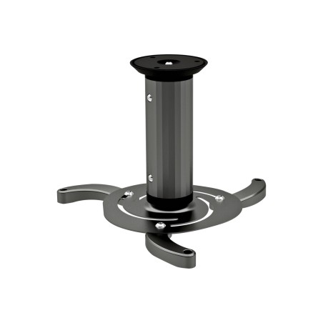 InLine 23134A project mount Ceiling Black