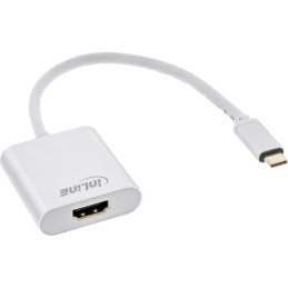 InLine 64101S câble vidéo et adaptateur 0,2 m USB Type-C HDMI Argent