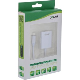 InLine USB Display Konverter, USB-C Stecker zu HDMI Buchse 4K 60Hz, silber