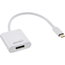 InLine Convertitore Video USB-C maschio a DisplayPort, 4K 60Hz silver 0,2m