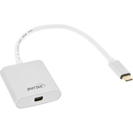 InLine 64105S câble vidéo et adaptateur 0,2 m USB Type-C Mini DisplayPort Argent