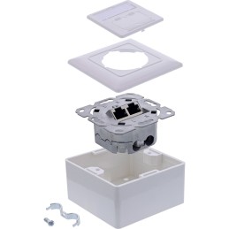 InLine 76842A cassetta di scarico 2 x RJ-45 Bianco