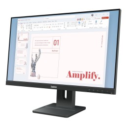 Lenovo ThinkVision E24-40 Moniteur