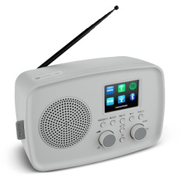 MEDION 50078819 Radio portable Internet Gris