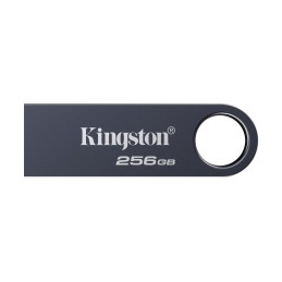 Kingston Technology DataTraveler 256 GB SE9 G3 - Níquel oscuro