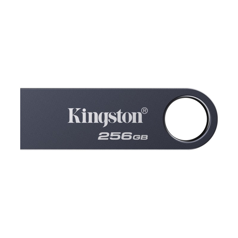 Kingston Technology DataTraveler 256 Go SE9 G3 - Nickel foncé
