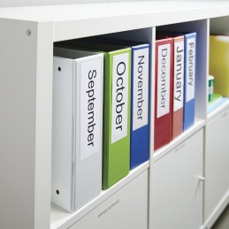 DYMO LW grandes étiquettes autocollantes authentiques pour classeurs à levier polyvalentes | 59 mm x 190 mm | rouleau de 110