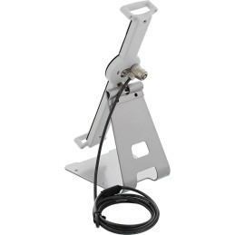 InLine Supporto Tablet 10"-13" antitaccheggio, cavo acc. 4,4mm x 1,5m, bianco
