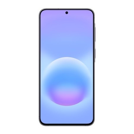 Samsung Galaxy A57 5G Enterprise Edition 17 cm (6.7") Double SIM USB Type-C 8 Go 256 Go 5000 mAh Gris