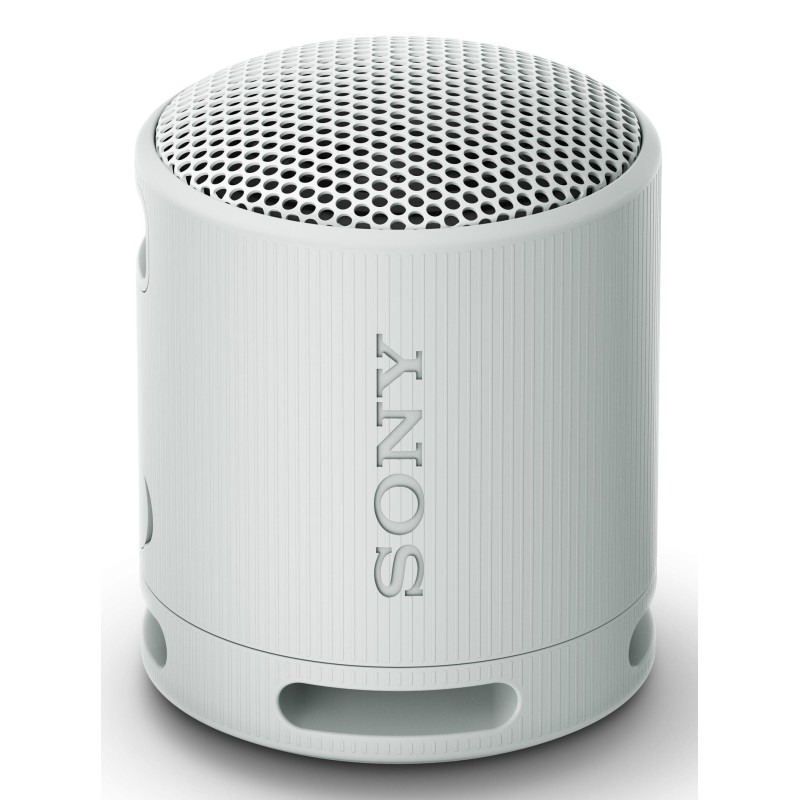 Sony SRS-XB100 Mono portable speaker Gray