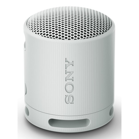 Sony SRS-XB100 Mono portable speaker Gray