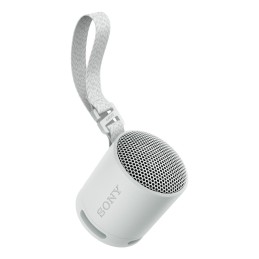 Sony SRS-XB100 Mono portable speaker Gray