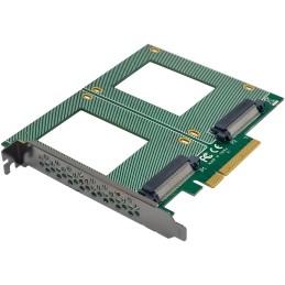 InLine 76660P scheda di interfaccia e adattatore Interno U.2