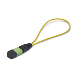 StarTech.com Module Loopback MPO, Adaptateur de Bouclage Fibre Optique Monomode 9 125 MPO-12 Femelle, Testeur Loopback