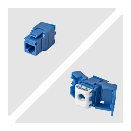 StarTech.com Cat6 Keystone Jack Modul, 24er-Pack RJ45 Ethernet Keystone Buchse, UTP Cat6 Wandbuchse, 180 Grad, werkzeuglos, Blau