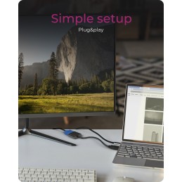 ICY BOX IB-AC502a, HDMI A-Typ zu VGA Adapter